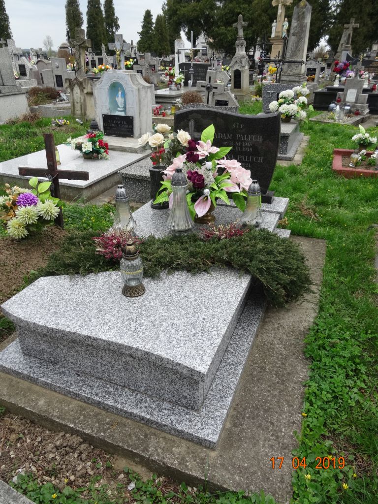 Adam Paluch  1915 Uście Solne - Grobonet - Wyszukiwarka osób pochowanych